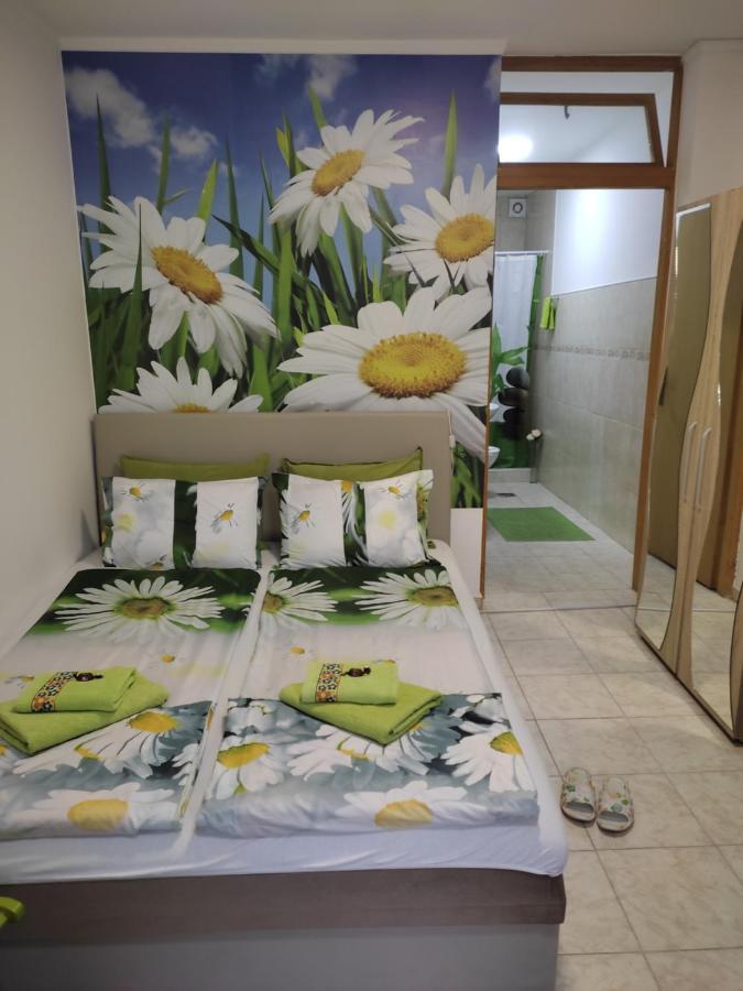 Apartment Nela Nisz Zewnętrze zdjęcie