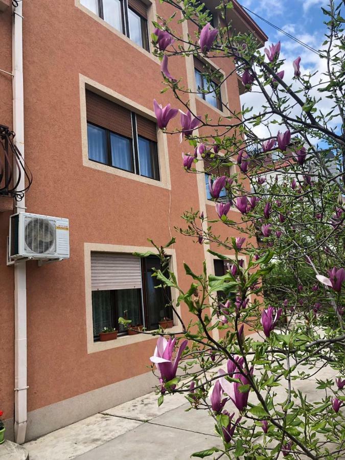Apartment Nela Nisz Zewnętrze zdjęcie